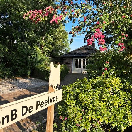Bnb De Peelvos Деурне Екстериор снимка