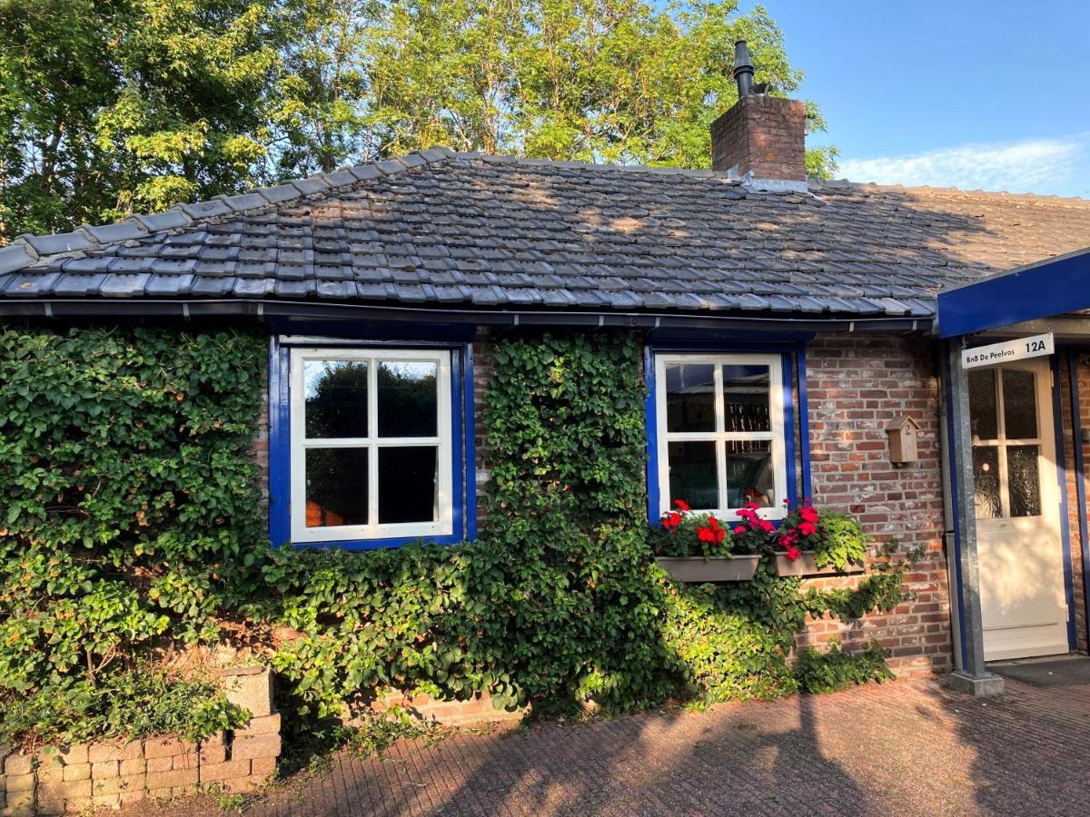 Bnb De Peelvos Деурне Екстериор снимка