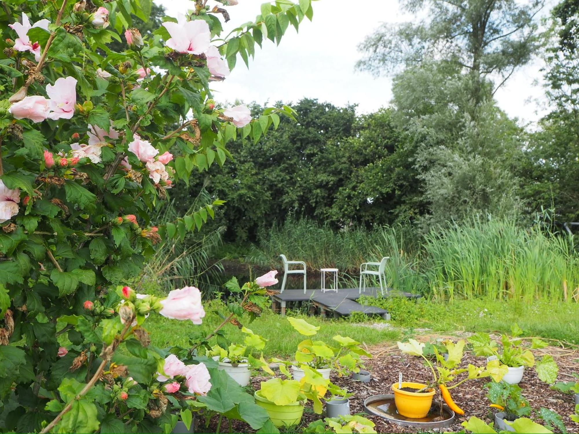 Bnb De Peelvos Деурне Екстериор снимка